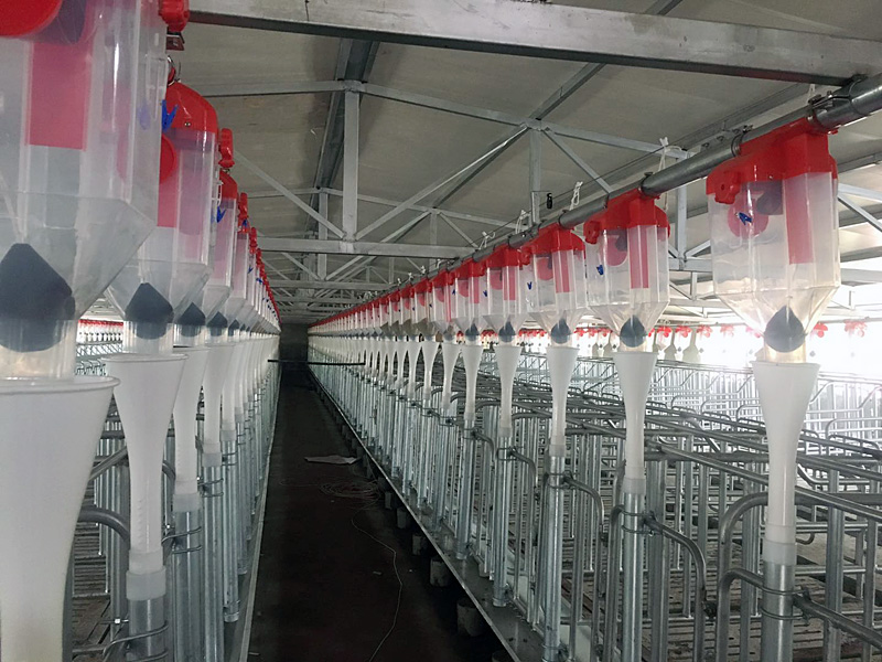 河北保定豬場(chǎng)項(xiàng)目