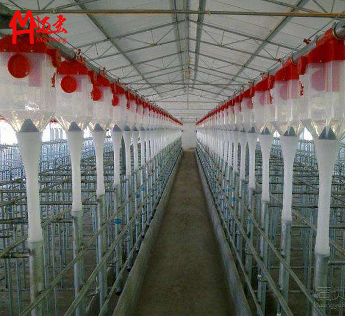 河南豬場(chǎng)項(xiàng)目